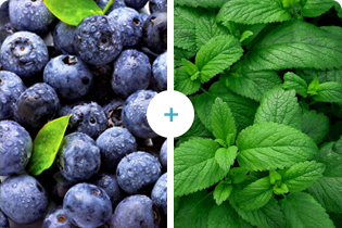 Blueberry+Pudina
