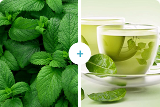 Teh hijau+Pudina