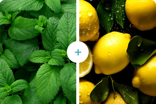 Lemon+Pudina