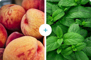 Peach+Pudina